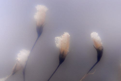 Baby, It's Cold Outside