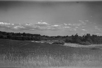 Photos From the Camera