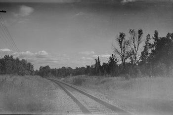 Photos From the Camera