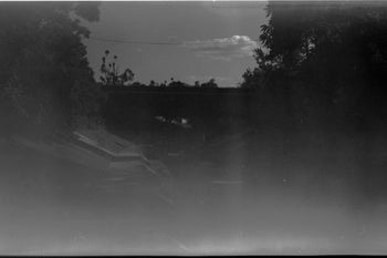 Photos From the Camera