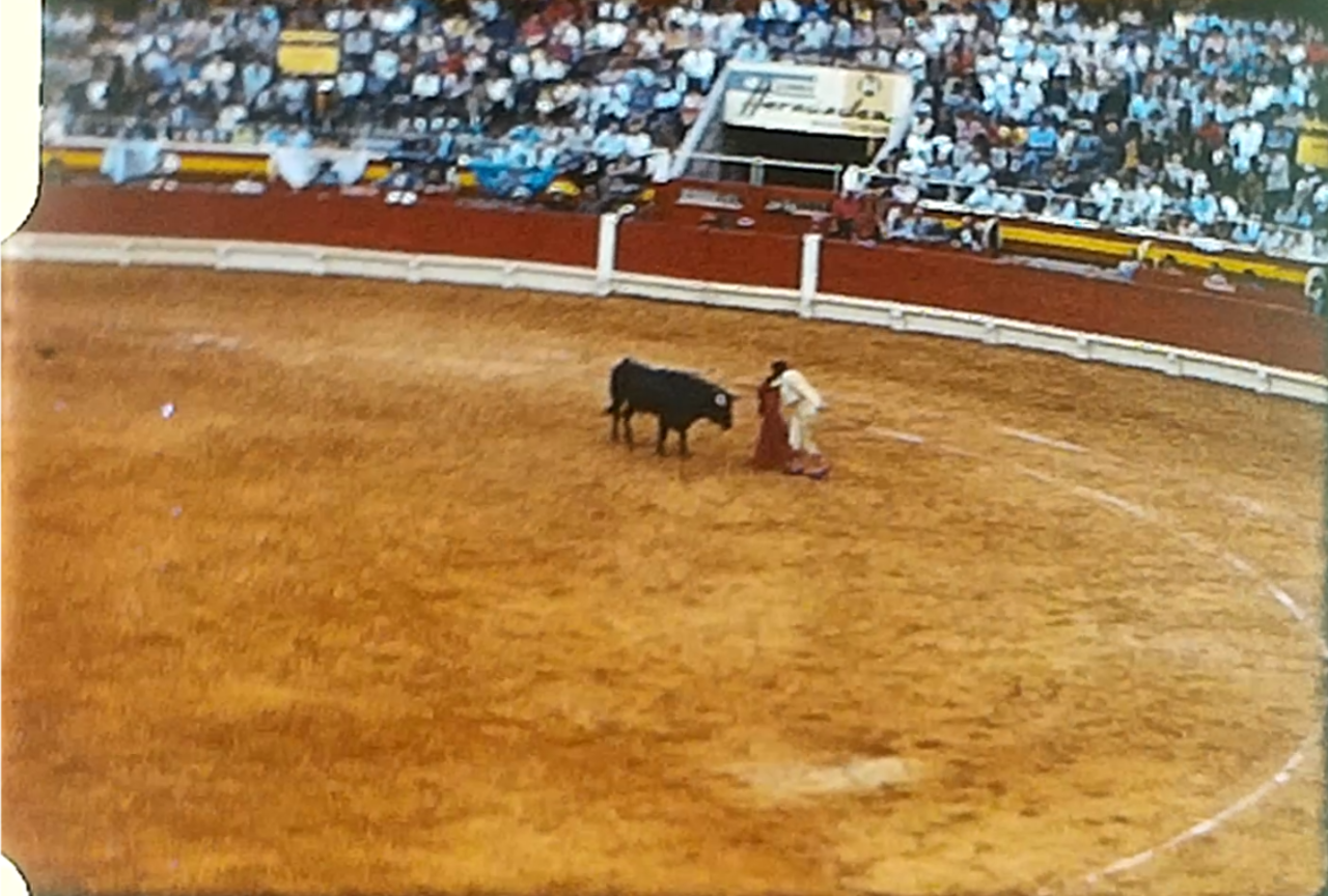 A bull fight in a Spanish bull ring c 1970