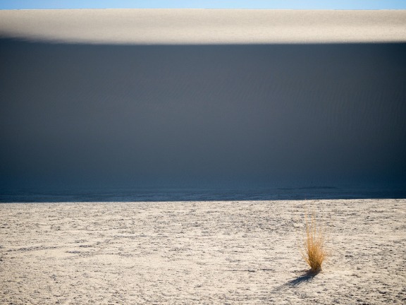 White Sands, NM