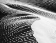 Jack Dykinga | Mesquite Flats Tongue of Dune 