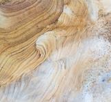 Jack Dykinga | Sandstone tapestry #2 