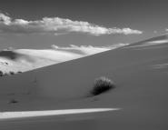 Jack Dykinga | White Sands Light 