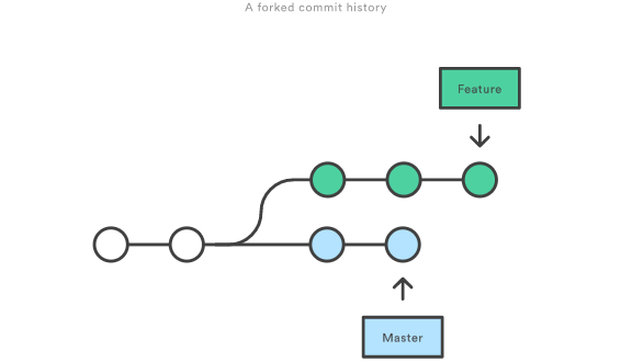 A forked commit history