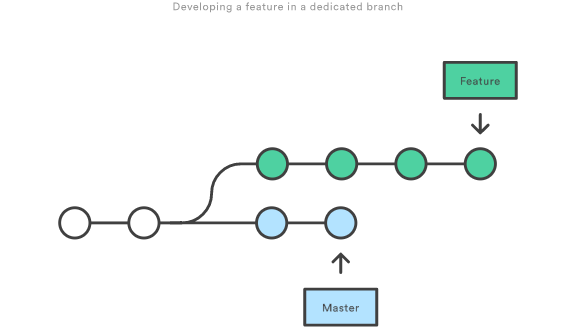 Developing a feature in a dedicated branch