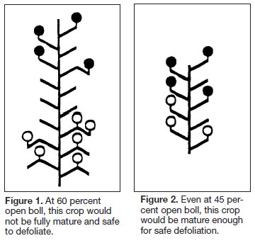 Figure 1 and Figure 2