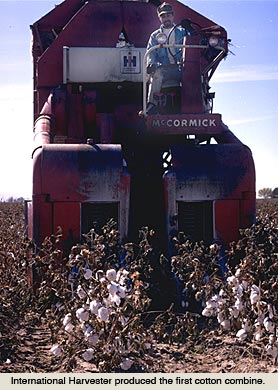 IH cotton harvester