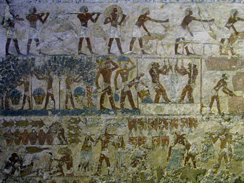 Treading grapes for wine and preparing food