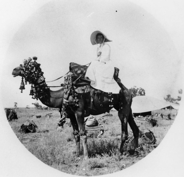 Vintage Expat Trailing Spouse on Camel
