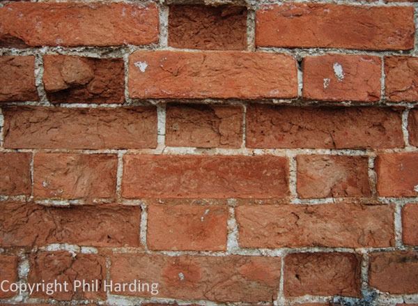 Photograph by Phil Harding