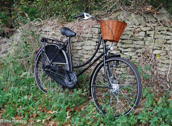 Photograph by Phil Harding