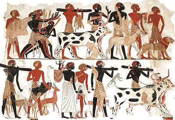 Egyptian Farming