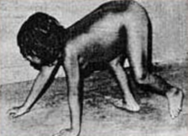 daniel andes goat boy