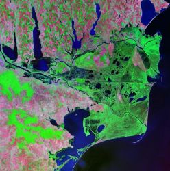 The Danube Delta in the year 2000. Landsat satellite image.
