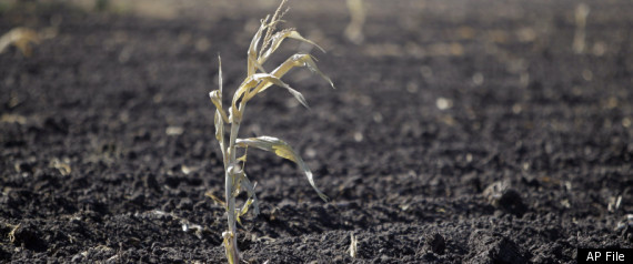 Texas Drought 2011