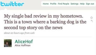 Look Who's Snarking Now: Novelist Uses Twitter to Trash Critic