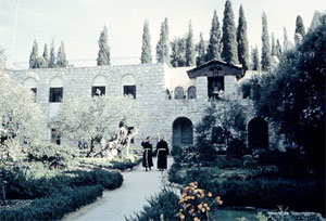 Garden of  Gethsemane