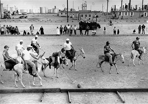 Donkey Polo Match