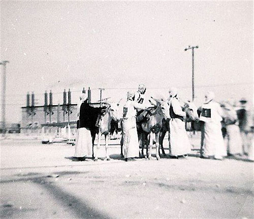 Arab Donkey Races